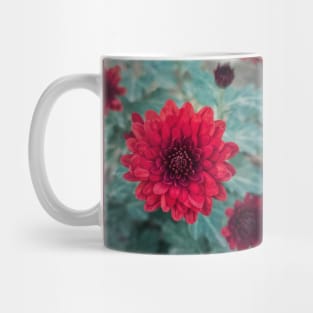 red chrysanths Mug